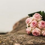 Kimppu piti toki hankkia teemaan sopivaksi.