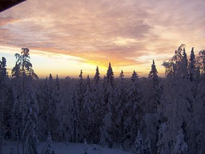 ..taloni 2. kerroksesta näkyi tälläistä.. 23.1.2004