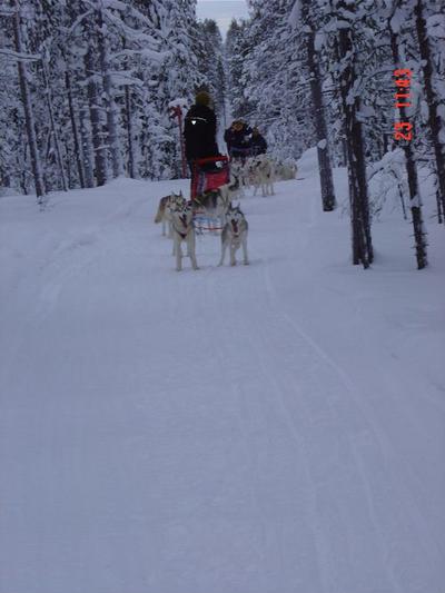 Vähän kuvaa miltä valjakko näyttää edestäpäin