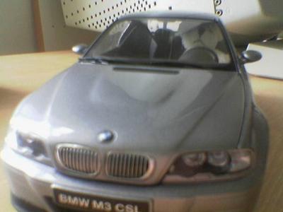 BMW Bear