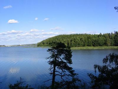 Vuohensaari