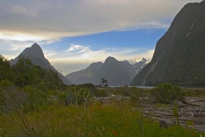 Milford Sound, Uusi Seelanti