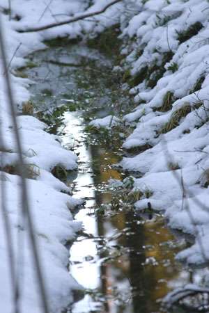 Talvinen vesi, kuvasin 24.12.04