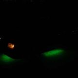 Is it a bird or a fish? Nooo, it´s Polo with undercar neonlights on!