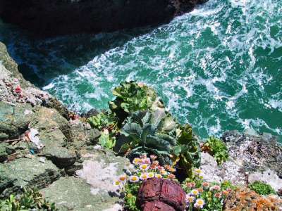 Point Bonita, CA, USA