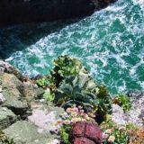 Point Bonita, CA, USA