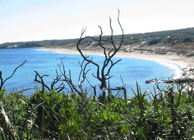 Margaret River, WA. Toukokuu 2003.