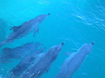 Rottnest Island, WA. Huhtikuu 2003.