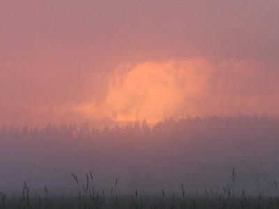 Nurmijärvi. 7.7.2004.