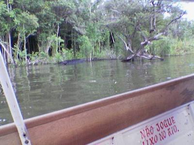 River Amazonia. March 2004.