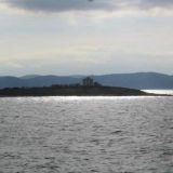 Kroatialainen saaristopulju