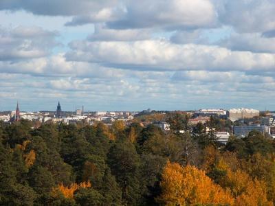 Ruissalo turku lintutorni. syksy 2002.