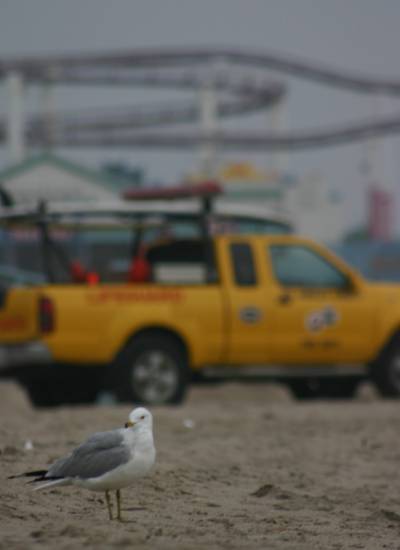 10.3.2005 Santa Monica Beach