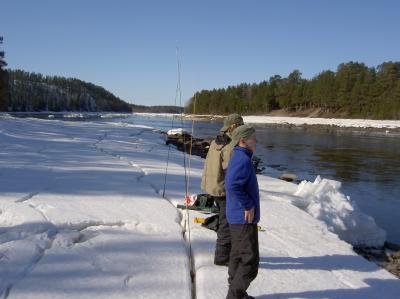 kesä tulossa