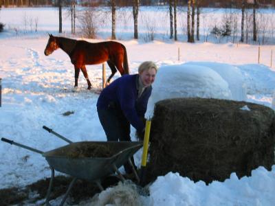 meikä tallihommissa..