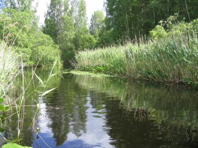 Tässä on mun mielen rauhoittumispaikka Juhannushälinän vastapainoksi, tästä mä yleensä otan sen perinteisen Juhannuskalan. Aika tarkka paikka heitellä =)