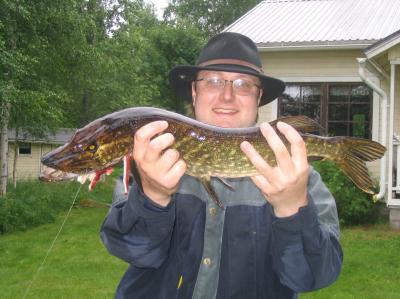 Tämmönen sieltä rauhalliselta joelta tuli tänä Juhannuksena... ei meinannut käsissä pysyä =)  Koukku syvällä, ei saanu pihalle ennenku pään irrotti... Kivaa tossa joessa on se, ettei siellä muut kalasta paitsi toi mun mussukka, oma privaatti joki =)