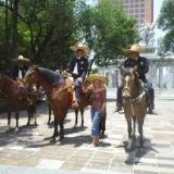 Policia ciudadal de distrito federal