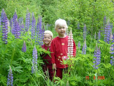 Emilia ja Laura Juhannuksena