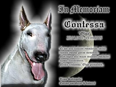 In Memoriam