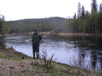 Alku kesästä tulee kalastettua virvelillä