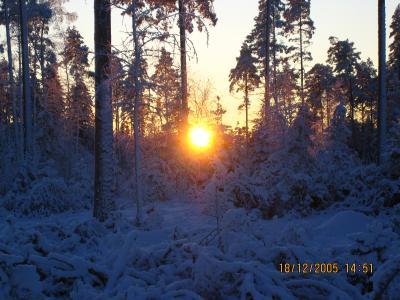 Talvinen auringonlasku