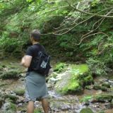 River and Forest in Spain