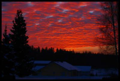 Kotiovelta otettu. 23.2.2006 aamulla töihin lähdössä.