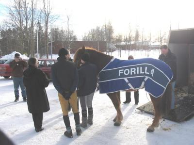 Forilla saapui Lehtimäelle