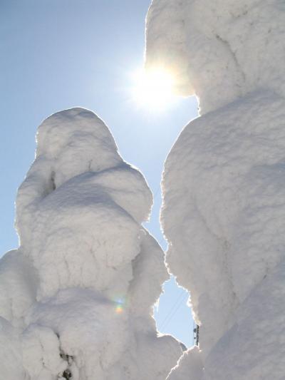 Natures art in Ruka