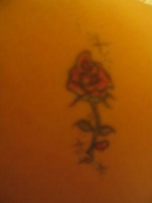 my rose