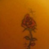 my rose