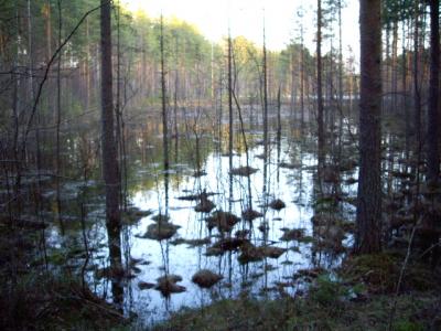 Vesi hieman korkella vielä.