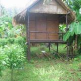 lonely beach bungalow