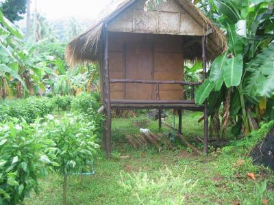 lonely beach bungalow