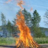 Kokko Sälinkäällä