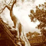 Aiming for heaven, Ta Phrom, Cambodia