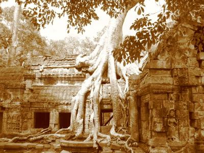 Ta Phrom, Cambodia