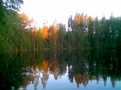 Mökillä, Juhannus 2006