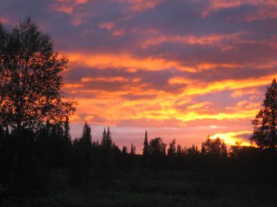 auringonlaskua sallassa...