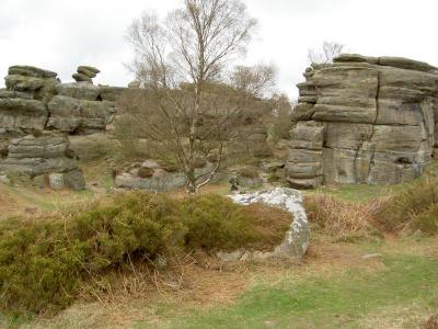 Brimham Rocks