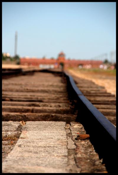 tehokasta vankikuljetusta birkenaussa