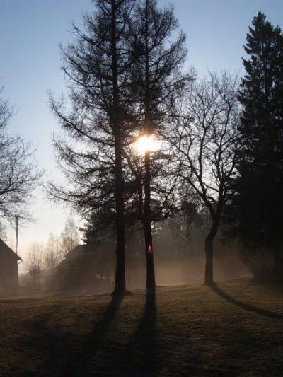 sumuisessa aamussa on jotain kiehtovaa.