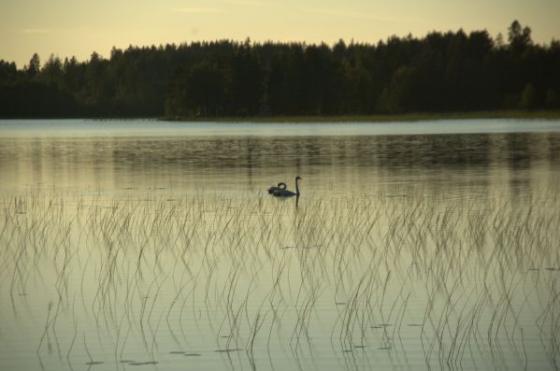 Mökkimaisemaa