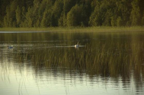 Mökkimaisemaa