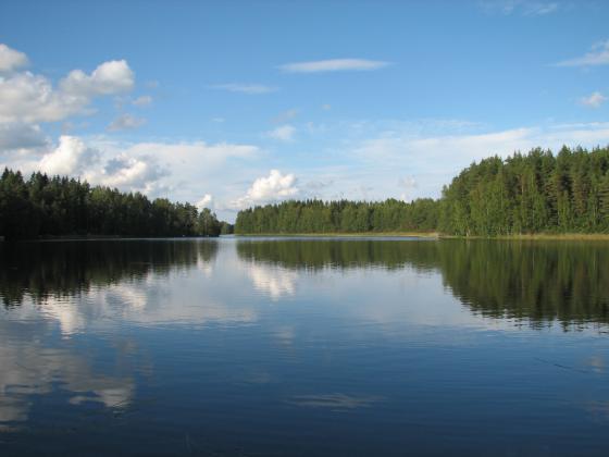 Järvi välissä onneksi. Ei leviä palo tästä pidemmälle.