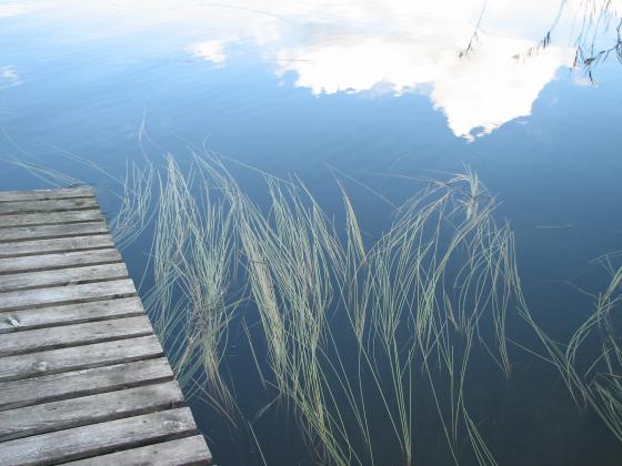 Vesi heijastaa, kastelee, satuttaa, sammuttaa ja on niin kaunis!