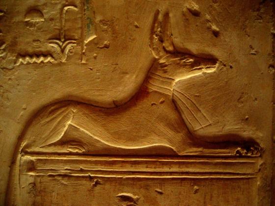 Anubis, Valley of the Kings, Egypt