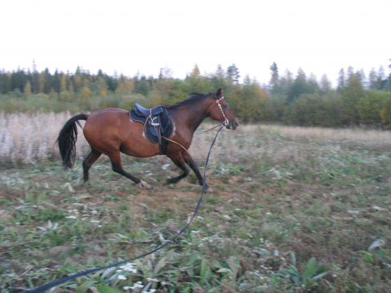 Lottaa ikävä <3