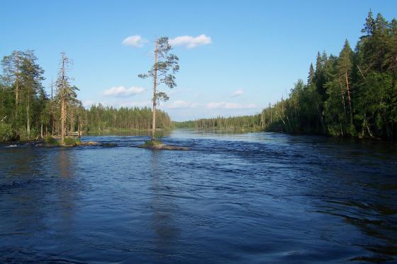 Kaunis kesäpäivä koskilla...